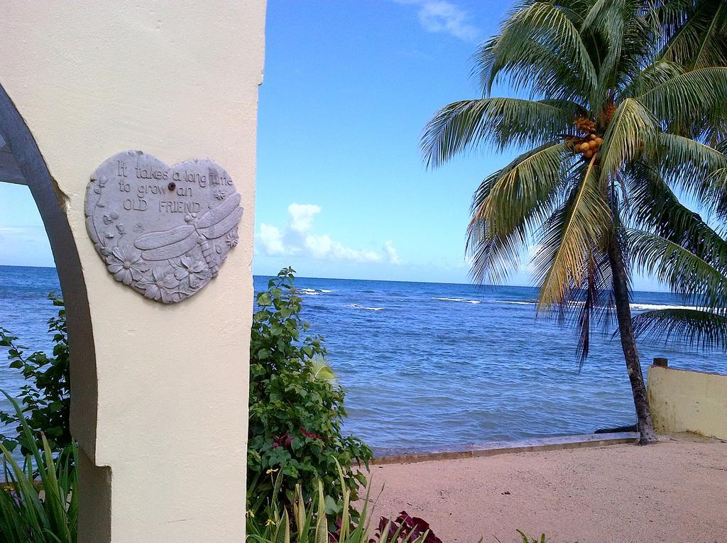 Veranda View Guesthouse Calibishie Esterno foto